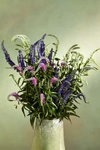 Terrain Fresh Cut Veronica Bunch