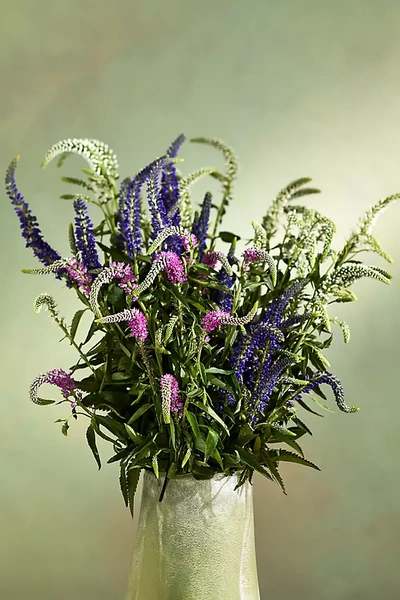 Terrain Fresh Cut Veronica Bunch In Green