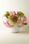 Terrain Fresh Hydrangea Bunch