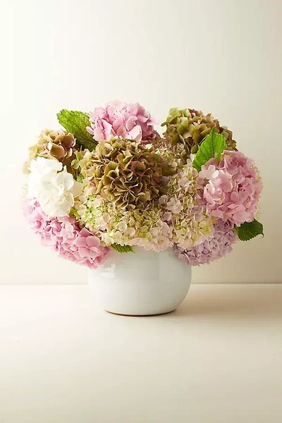 Terrain Fresh Hydrangea Bunch In White