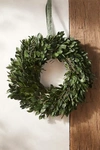 Terrain Fresh Ruscus + Olive Leaf Wreath