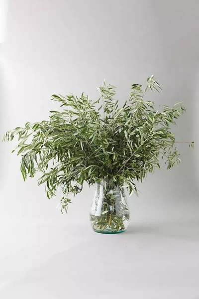 Terrain Fresh Olive Branch Bunch In Green