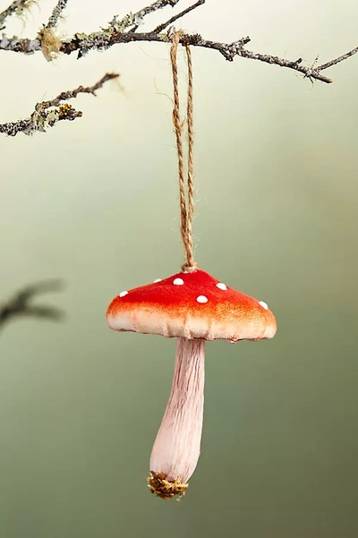Terrain Forest Mushroom Velvet Ornament In Orange