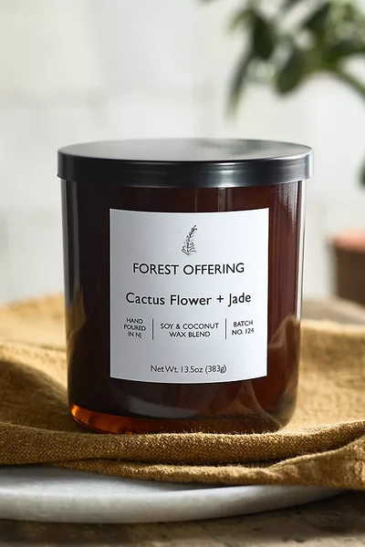 Terrain Forest Offering Candle, Cactus Flower + Jade In Brown
