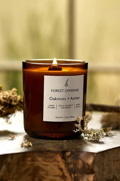Terrain Candle, Oak Moss + Amber In Brown