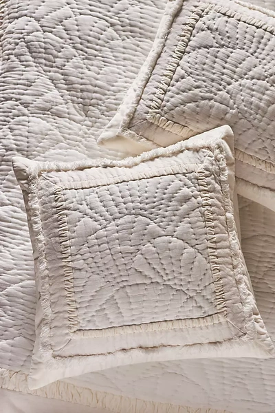 Anthropologie Gillian Plush Gauze Euro Sham In Neutral
