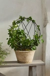 Terrain Globe Iron Trellis Frame