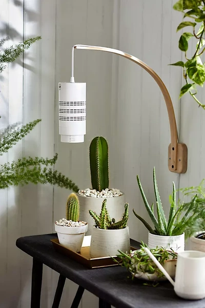 Terrain Grow Light Pendant In White