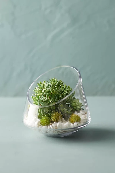 Terrain Angled Spotlight Terrarium