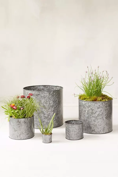 Terrain Habit + Form Cylinder Pot