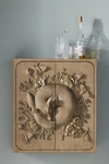 ANTHROPOLOGIE HANDCARVED LAND & SKY WALL CABINET