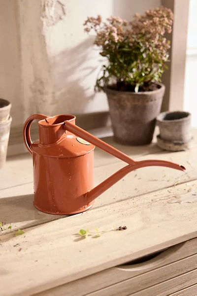 Terrain Haws 1 Liter Watering Can In Orange