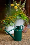 Terrain Haws Traditional Watering Can