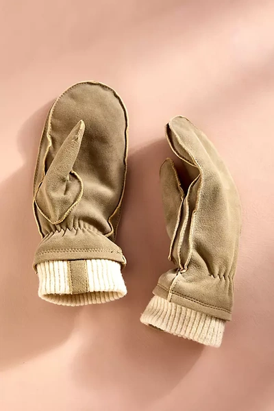 Terrain Hestra Chamois Mittens In Grey