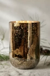 Terrain Illume Radiant Metallic Candle, Fall