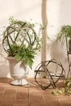 Terrain Iron Topiary Sphere