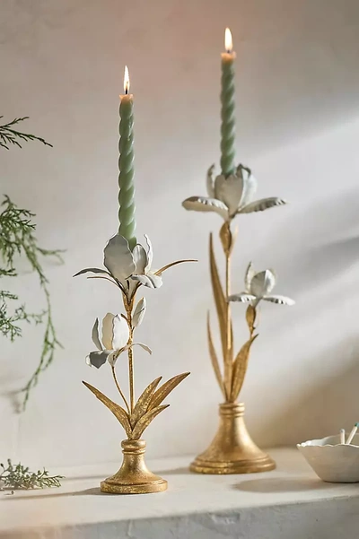 Terrain Iris Taper Candle Holder In Gold