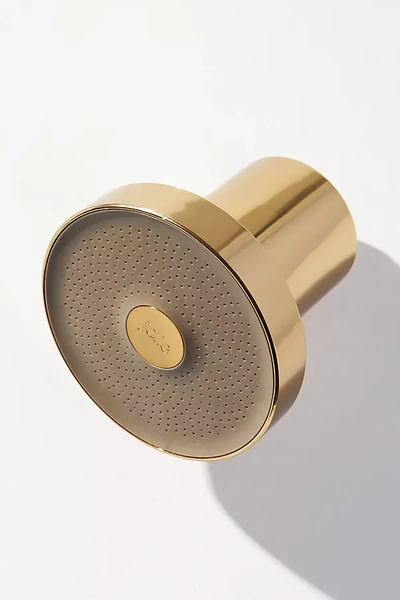 Jolie Filtered Showerhead In Gold