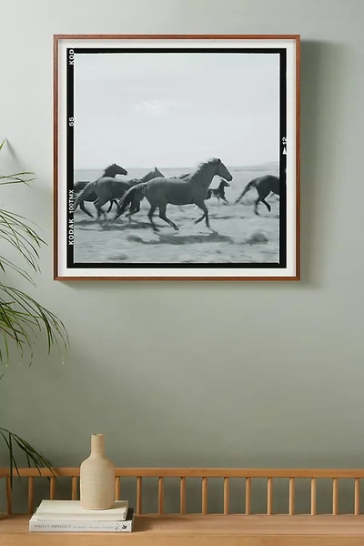 Anthropologie Landscape With Horse Wall Art In Gray