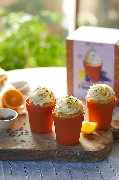 Terrain Lemon Lavender Flower Pot Cupcake Kit In Orange