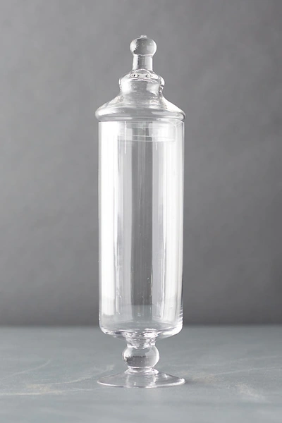 Terrain Lidded Apothecary Terrarium In White