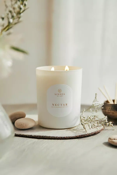 Terrain Linnea Candle, Nectar In White