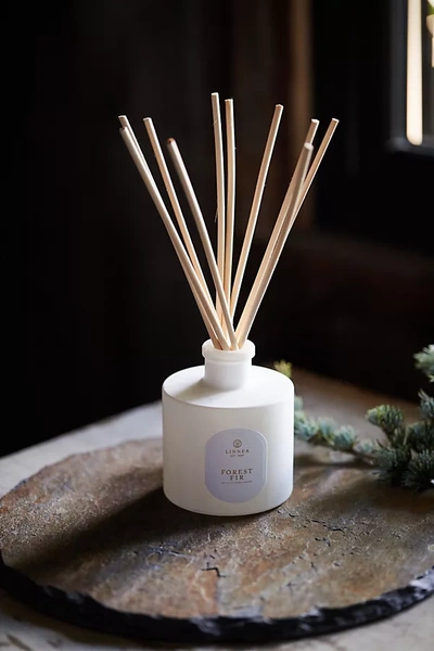 Terrain Linnea Diffuser, Forest Fir In White