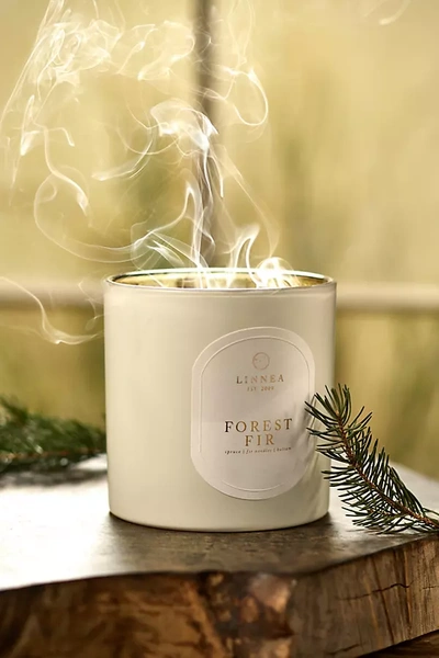 Terrain Linnea Large Candle, Forest Fir In Gray