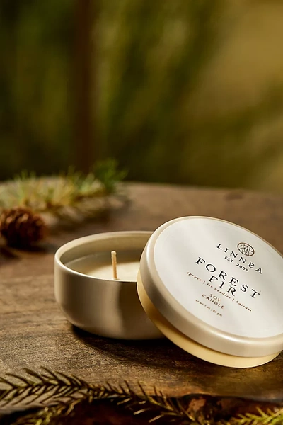 Terrain Linnea Tin Candle, Forest Fir In Gold