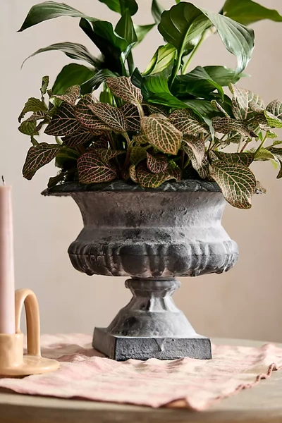 Terrain Low Cast Iron Urn Planter In Gray