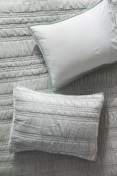Anthropologie Lustered Velvet Alastair Shams, Set Of 2