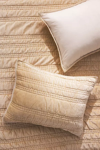 Anthropologie Lustered Velvet Alastair Shams, Set Of 2
