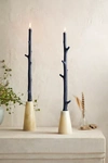 Terrain,15 Needs Inches Mark In Display Name Maple Stick Candles Set Of 2, 15 In Blue