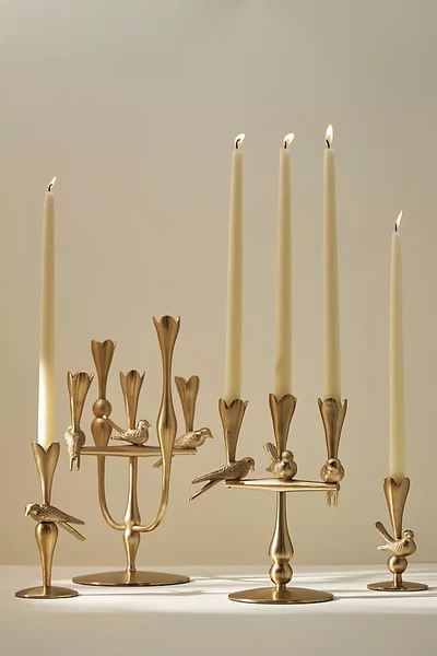 Anthropologie Marizia Sparrow Candle Holder In Gold