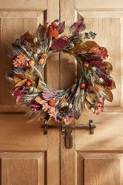 Terrain Autumn Harvest Preserved Wreath In Multi