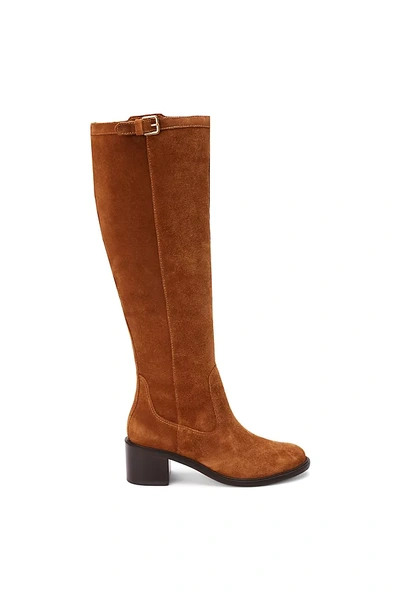 Matisse Adriana Knee High Riding Boot In Brown