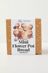 Terrain Mini Flower Pot Bread Kit, Set Of 8
