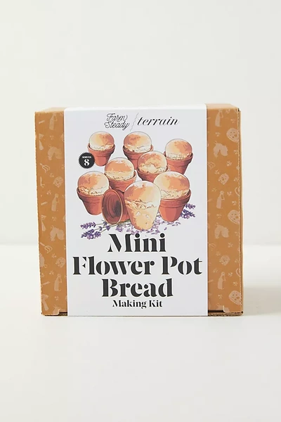 Terrain Mini Flower Pot Bread Kit, Set Of 8 In Multi