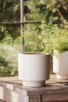 Terrain Ceramic Level Planter, 6" In Pink