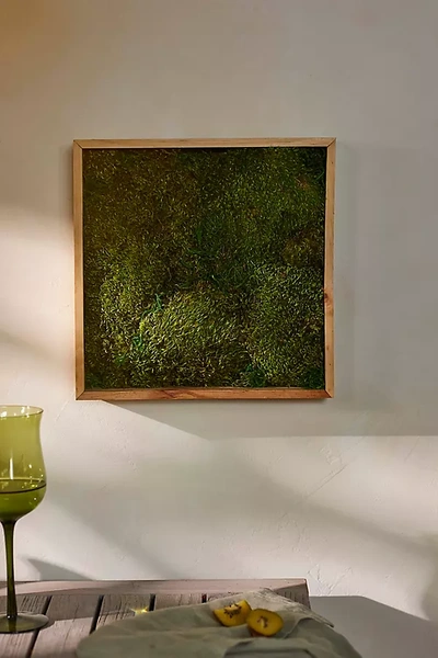 Terrain Mood Moss In Multicolor