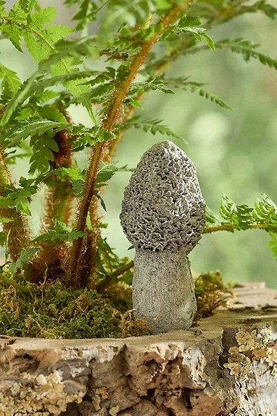 Terrain Morel Concrete Stake In Gray