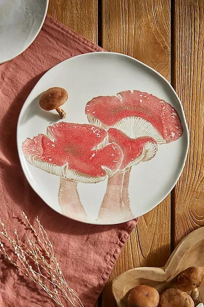 Terrain Mushroom Dinner Plate, Red