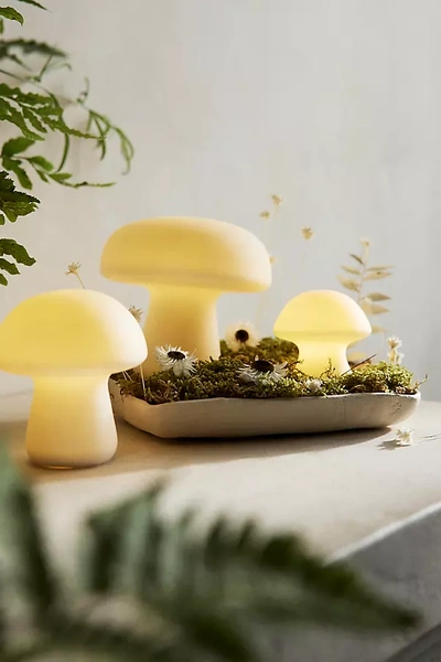 Terrain Mushroom Led Light