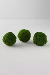 Terrain Natural Moss Balls, Set Of 3