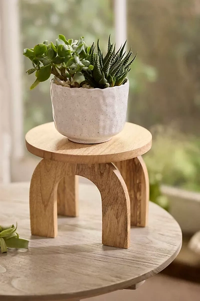 Terrain Natural Wood Plant Stand, Arch