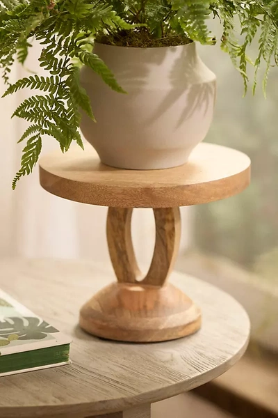 Terrain Natural Wood Plant Stand, Loop