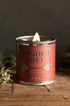 Terrain National Park Tin Candle In Red