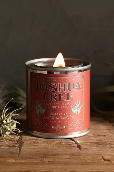 Terrain National Park Tin Candle In Red