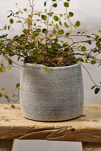 Terrain Notch Top Ceramic Planter In Gray