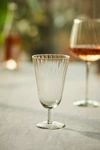 Terrain Optic Water Glass